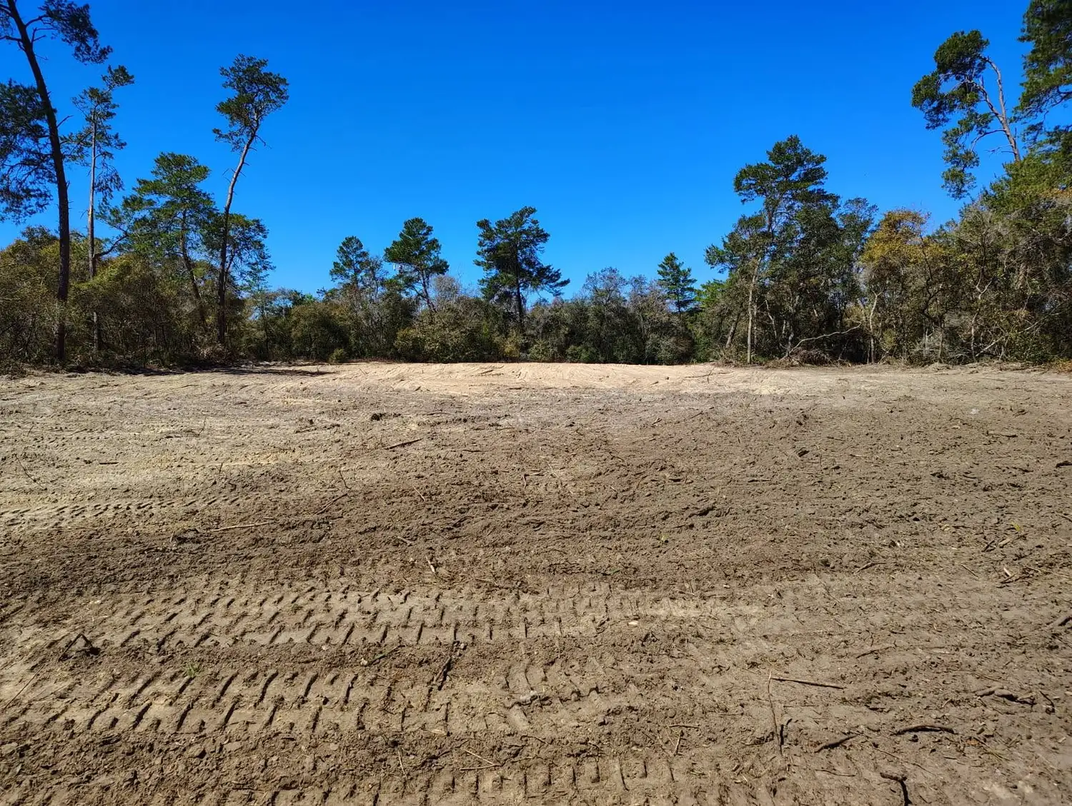 Wide finished building pad graded flat with a pine tree line behind it near Ocala, Florida