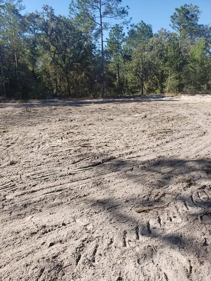 Cleared sand lot with fresh equipment tracks and pine tree line, Ocala FL