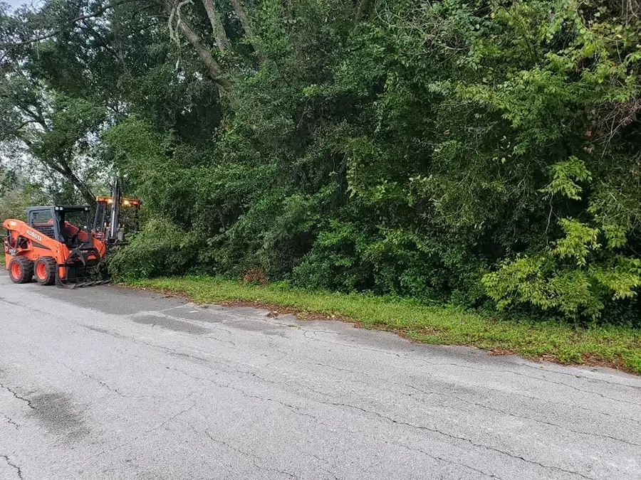 Mulching head skid steer at the edge of dense overgrowth before forestry mulching in Ocala